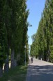 /album/piestany-2012/dsc-0062-copy-jpg/